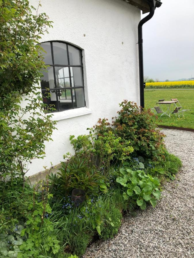 Hammenhög Raevakra B&B المظهر الخارجي الصورة